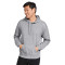 Sweat à capuche en polaire Softstyle® pour adulte